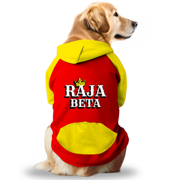 PawsIndia Dual Pattern Dog Hoodie - Raja Beta